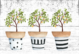 Lemon Tree Printables