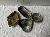 Set of 4 Small Mold/Tart Pans