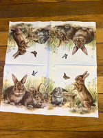 Spring Napkin Bundle