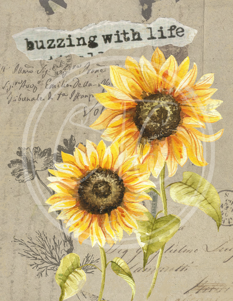 Sunflower Buzzing Printable