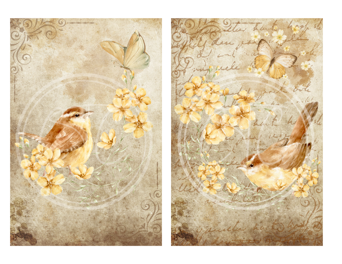2 5x7 Vintage Style Bird Printables – Creating Through Chaos